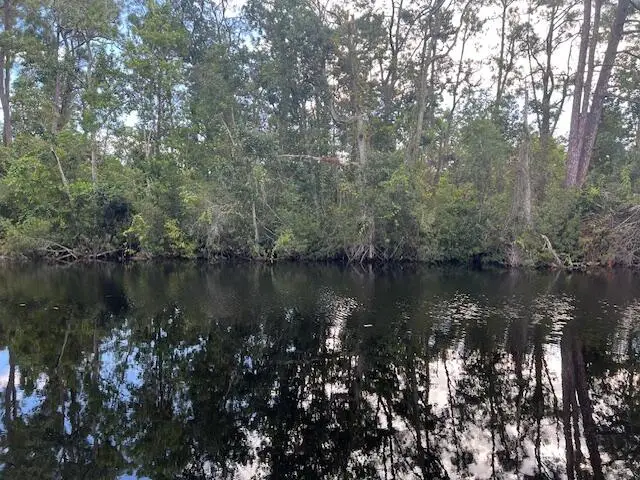 1131 Greenfield Street, Lake Placid, FL 33852 - #2