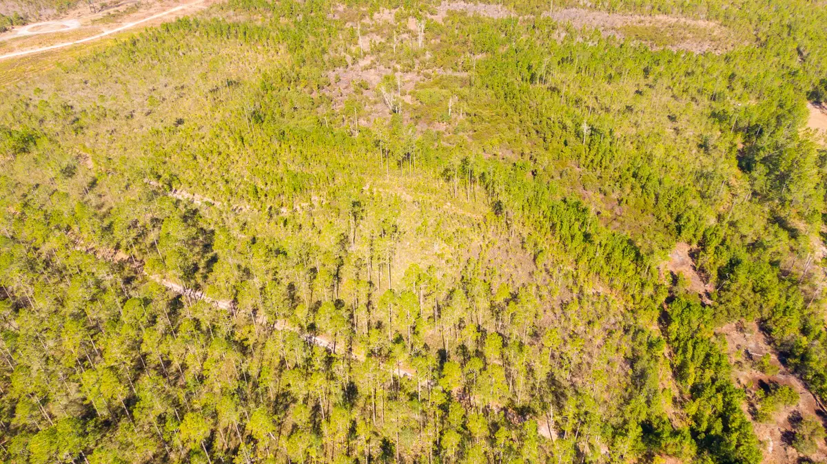 0000 Ne 125th Ave, Fort McCoy, FL 32134 - #1