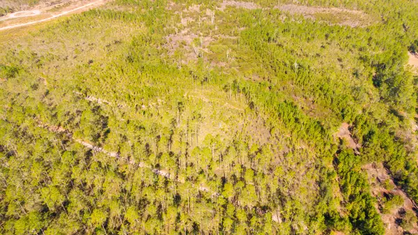 0000 Ne 125th Ave, Fort McCoy, FL 32134