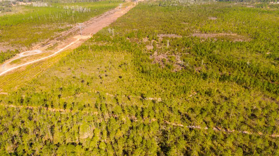 0000 Ne 125th Ave, Fort McCoy, FL 32134 - #3