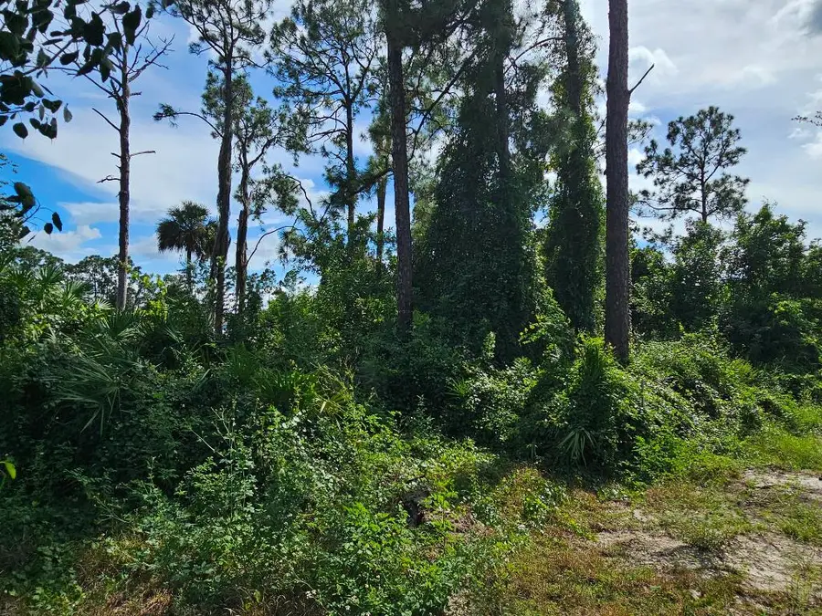 404 Greenwood Avenue, Lehigh Acres, FL 33972 - #2