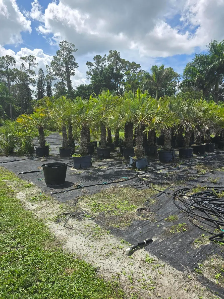 0000 B Road, Loxahatchee Groves, FL 33470 - #2