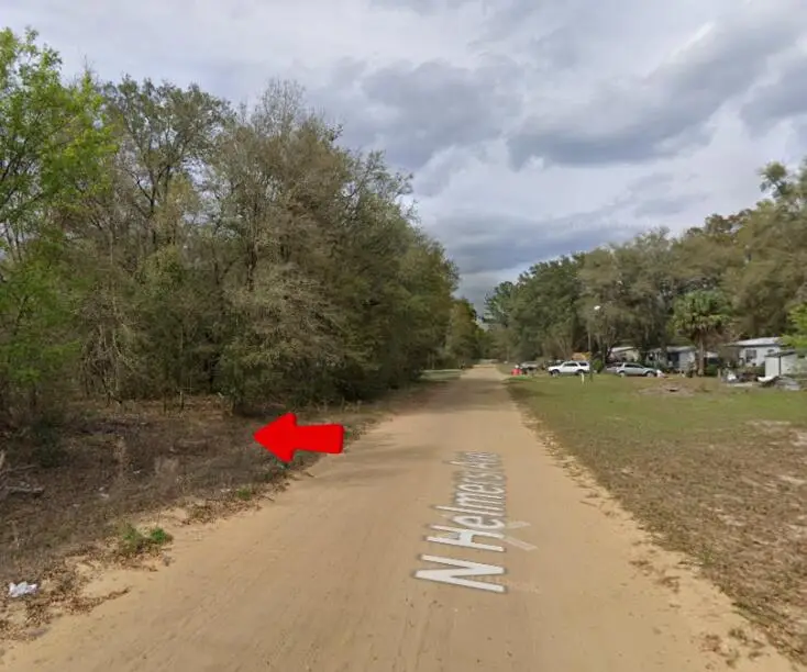 1 N Helmers Avenue, Interlachen, FL 32148 - #1