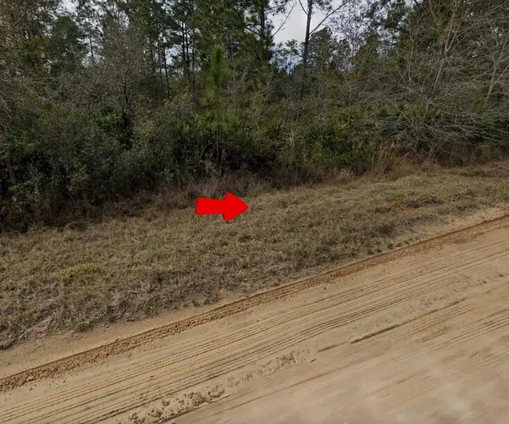 001 Creager, Interlachen, FL 32148 - #1