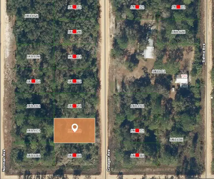 001 Creager, Interlachen, FL 32148 - #2