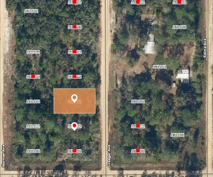 002 Creager Avenue, Interlachen, FL 32148 - #2