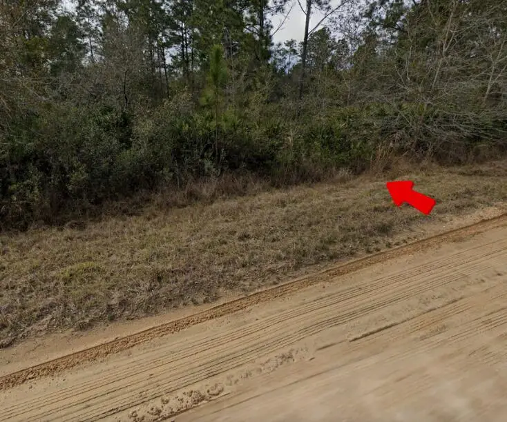 003 Creager Avenue, Interlachen, FL 32148 - #1