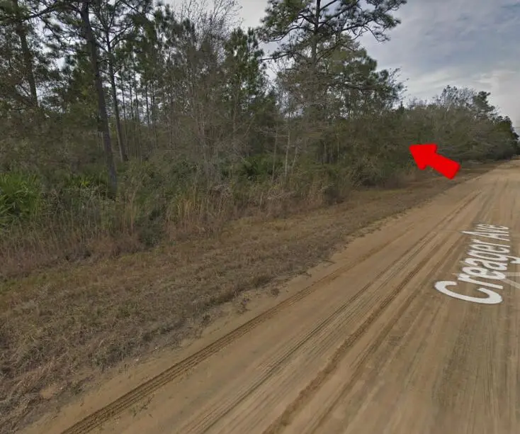 004 Creager Avenue, Interlachen, FL 32148 - #1