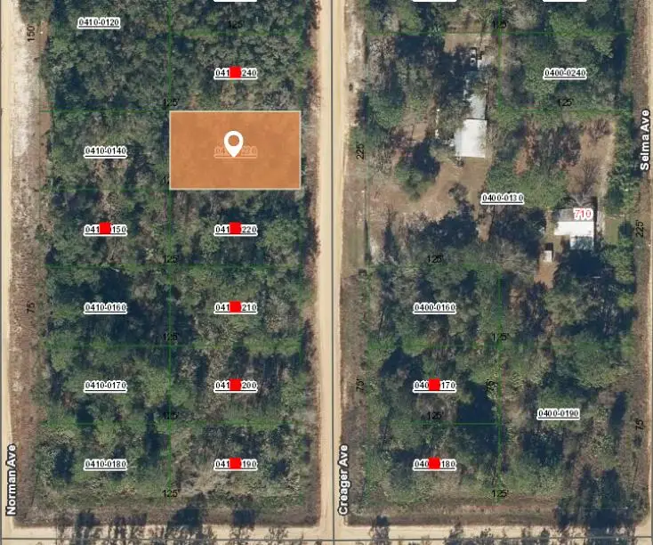 004 Creager Avenue, Interlachen, FL 32148 - #2