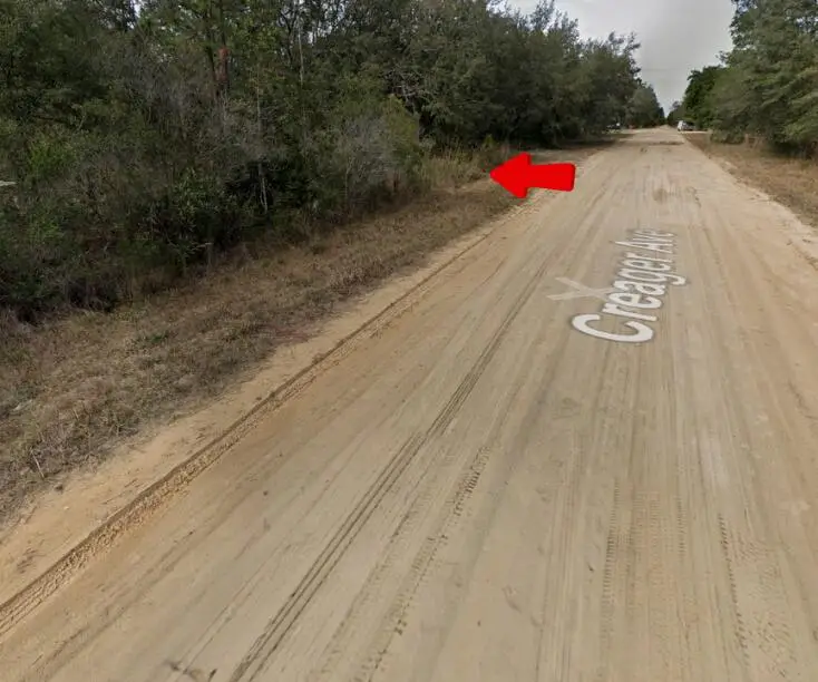 006 Creager Avenue, Interlachen, FL 32148 - #1