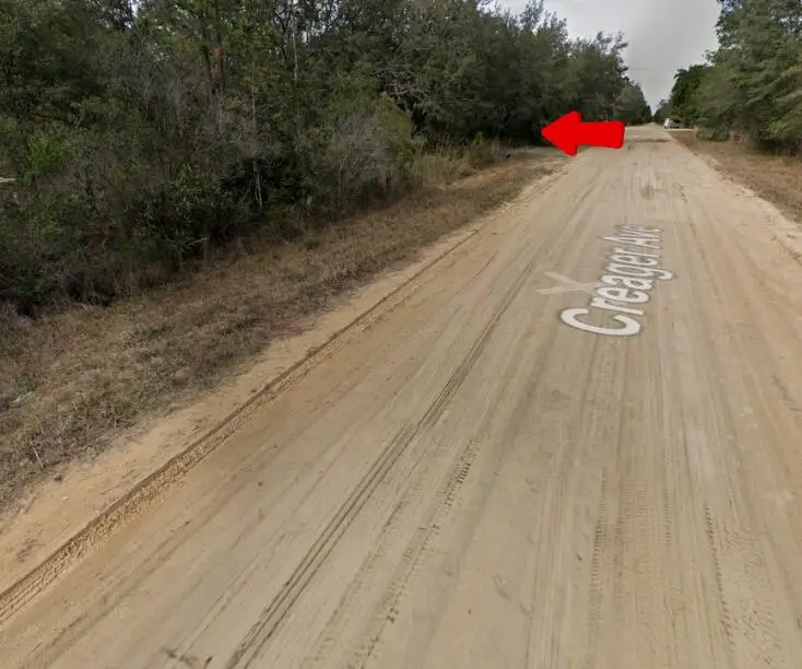 009 Creager Avenue, Interlachen, FL 32148 - #1