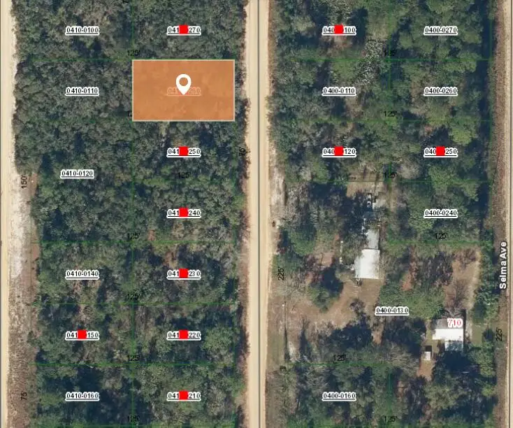 009 Creager Avenue, Interlachen, FL 32148 - #2