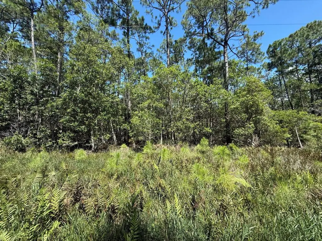 210 SE 2nd Street, Georgetown, FL 32139 - #1