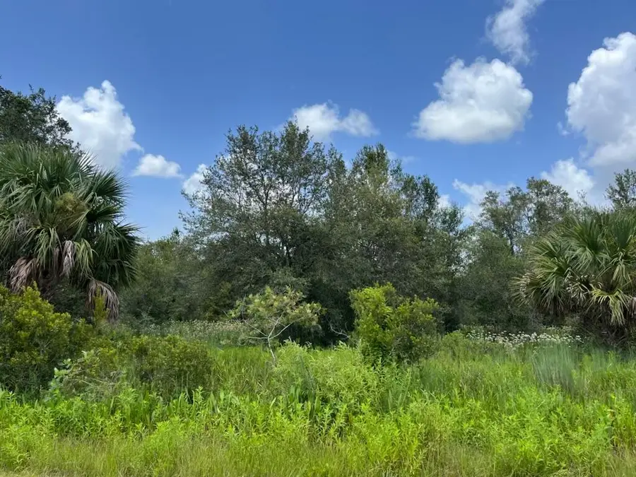17915 NW 290th Street, Okeechobee, FL 34972 - #2
