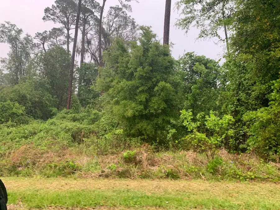 0 SE Unassigned Location Re Avenue, Gainesville, FL 32641 - #2