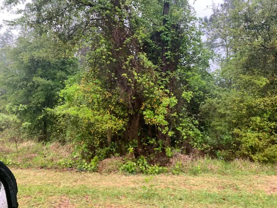 0 SE Unassigned Location Re Avenue, Gainesville, FL 32641 - #3