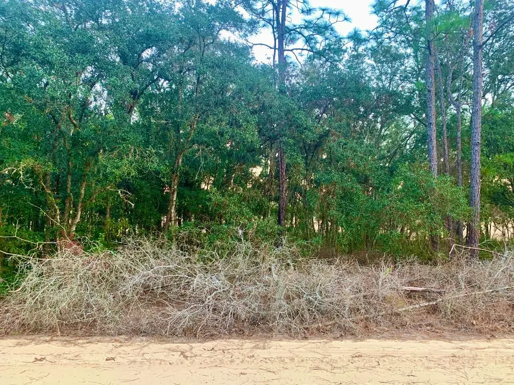 301 S Crestview Avenue, Inverness, FL 34452 - #1