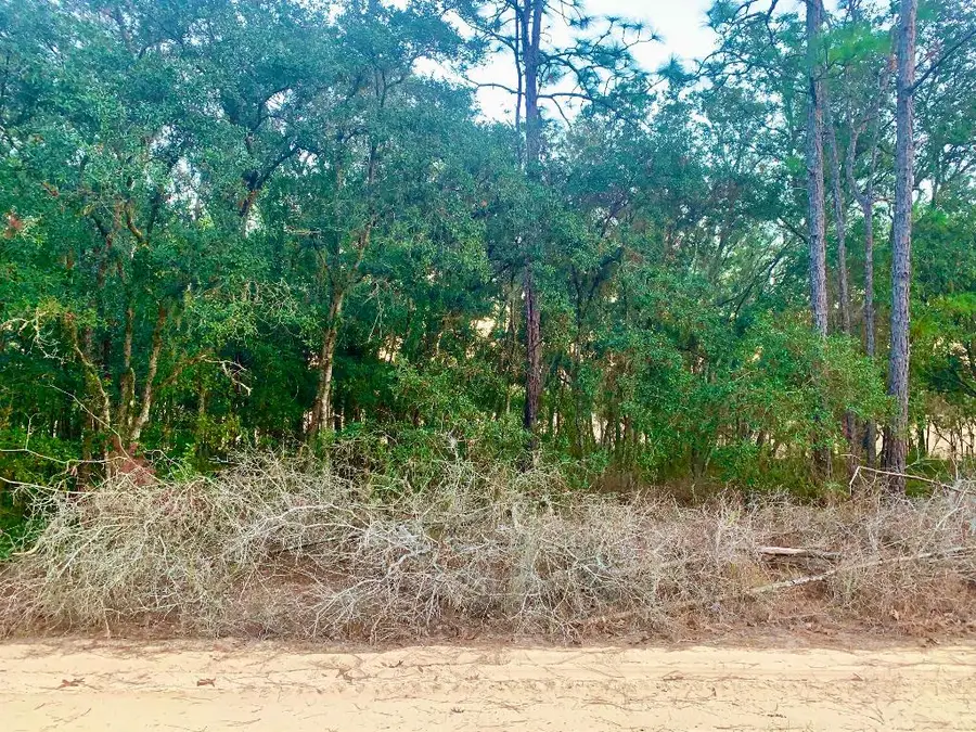 301 S Crestview Avenue, Inverness, FL 34452 - #2