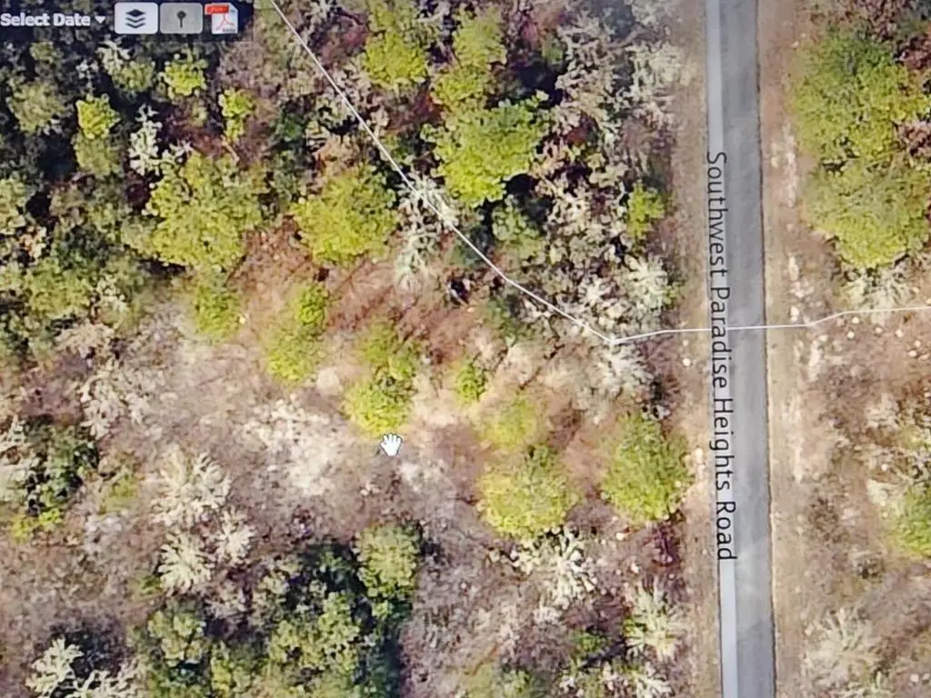 000 SW Paradise Heights Road, Dunnellon, FL 34431 - #1