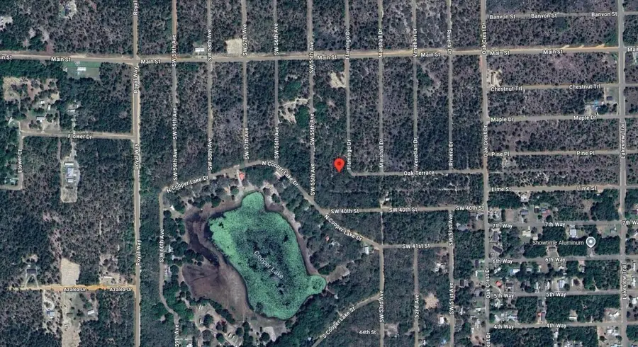 Tbd Flamingo Drive, Interlachen, FL 32148 - #2