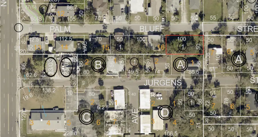 809 Palm Bluff Street, Clearwater, FL 33755 - #2