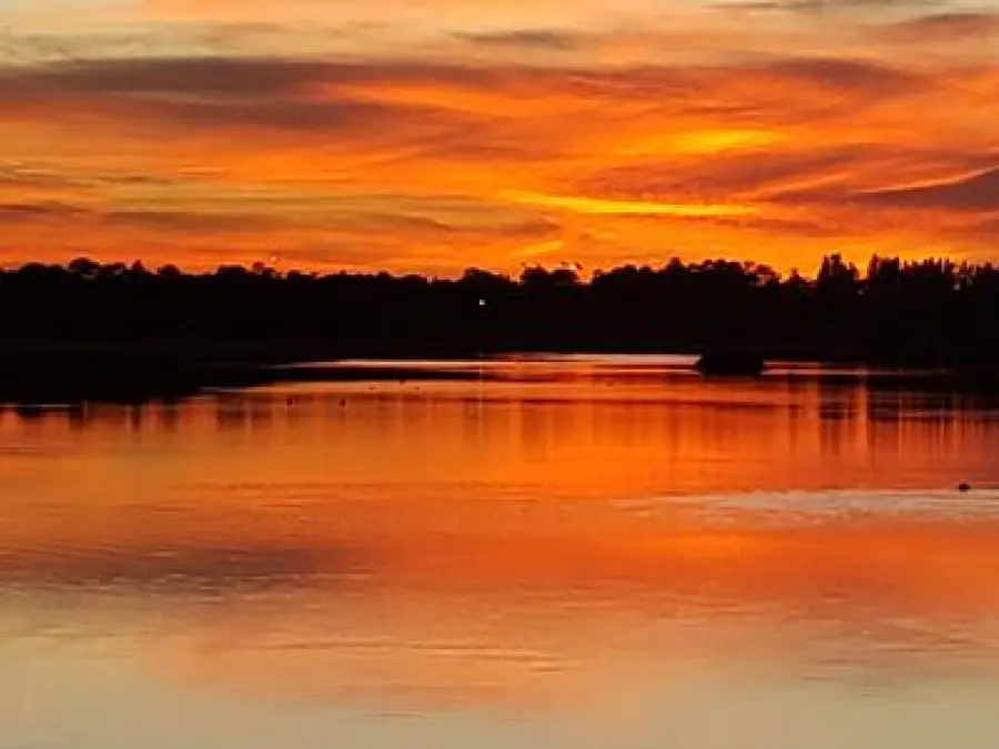 4750 SW Pentalago Place, Palm City, FL 34990 - #3