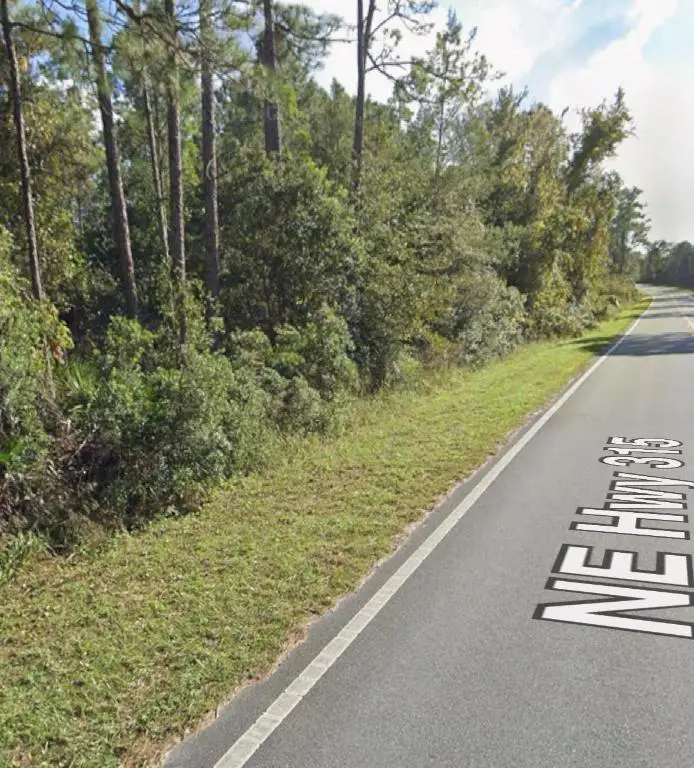 0 NE 315 Hwy, Fort McCoy, FL 32134 - #2