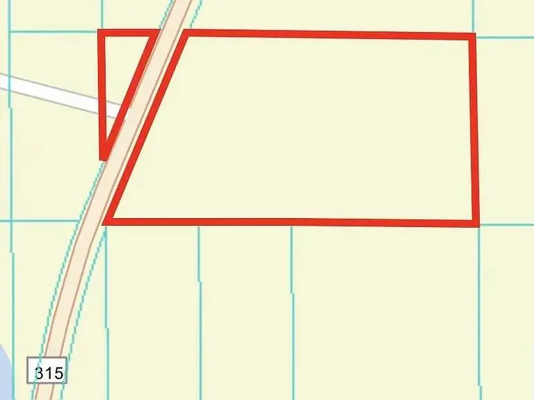 0 NE 315 Hwy, Fort McCoy, FL 32134 - #3