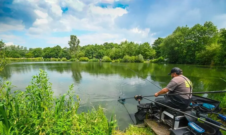 303 Siesta Drive, Georgetown, FL 32139 - #2