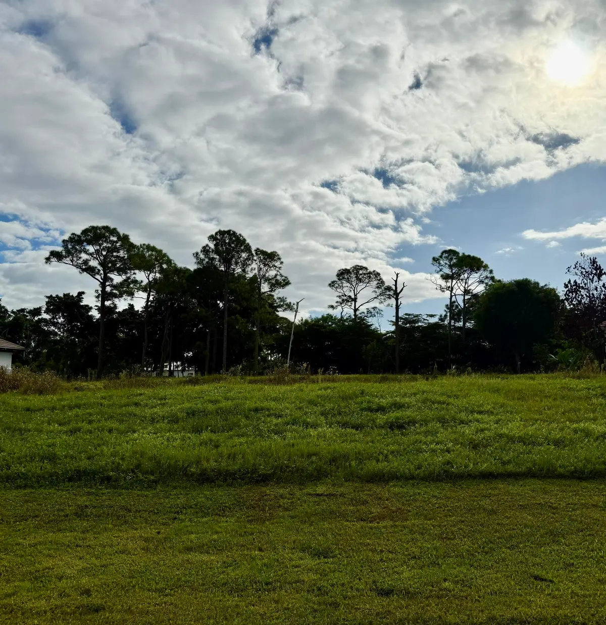 10328 SW Rookery Way, Palm City, FL 34990 - #1