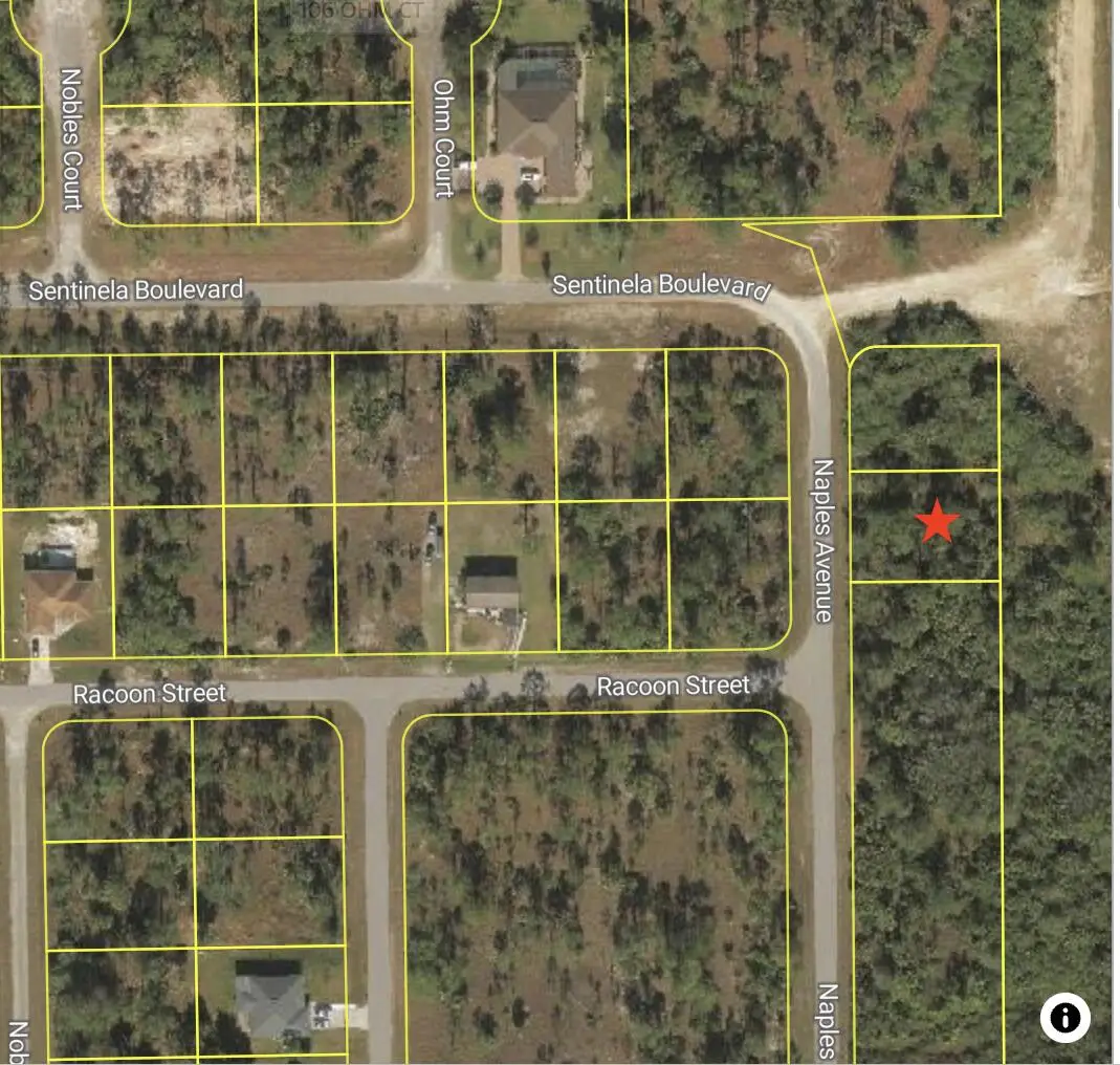 121 Naples Avenue S, Lehigh Acres, FL 33974 - #1