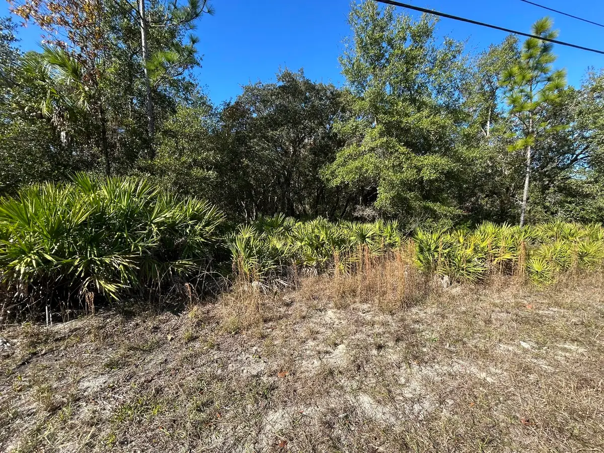 632 N Dunkenfield Avenue, Crystal River, FL 34429 - #1