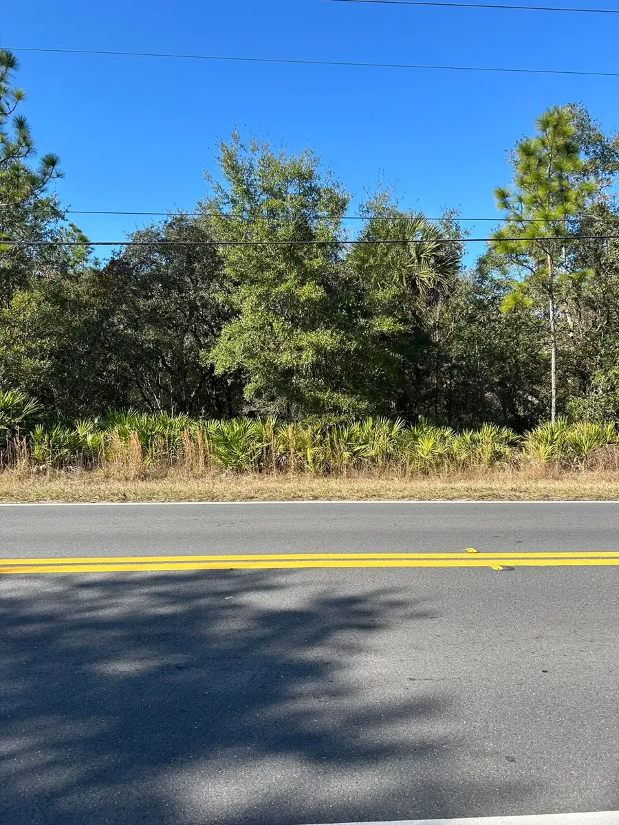 632 N Dunkenfield Avenue, Crystal River, FL 34429 - #3