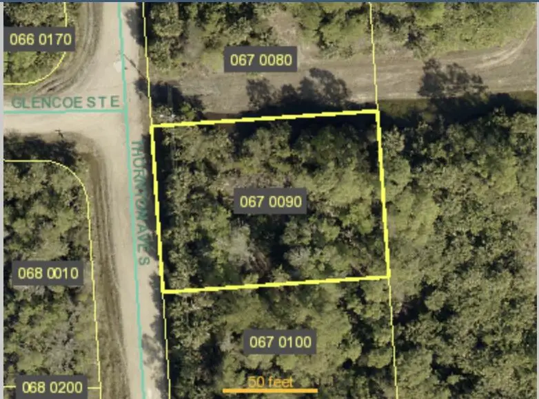 245 Thornton Avenue S, Lehigh Acres, FL 33974 - #1