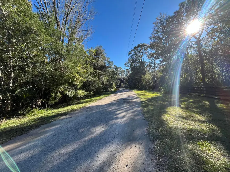 9667 S Lotus Point, Homosassa, FL 34448 - #3