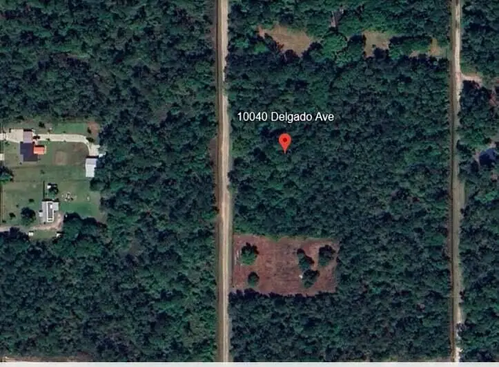 10040 Delgado Avenue, Hastings, FL 32145 - #2