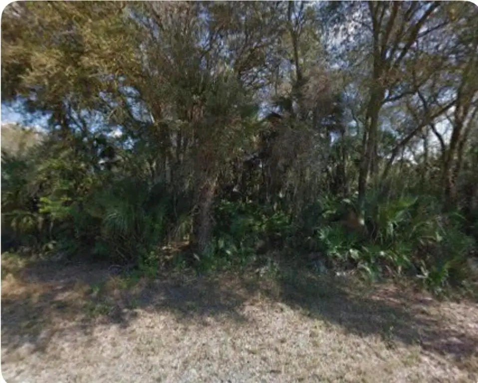 122 Carey Avenue S, Lehigh Acres, FL 33974 - #1