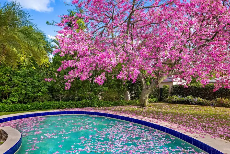 334 Barton Avenue, Palm Beach, FL 33480 - #3