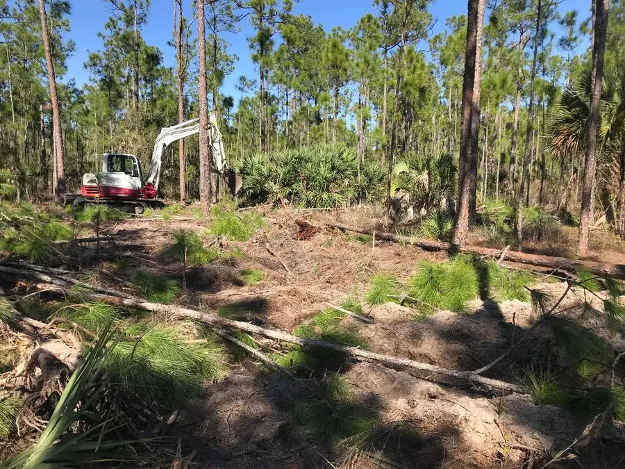 0 County 512 Road, Fellsmere, FL 32948 - #3