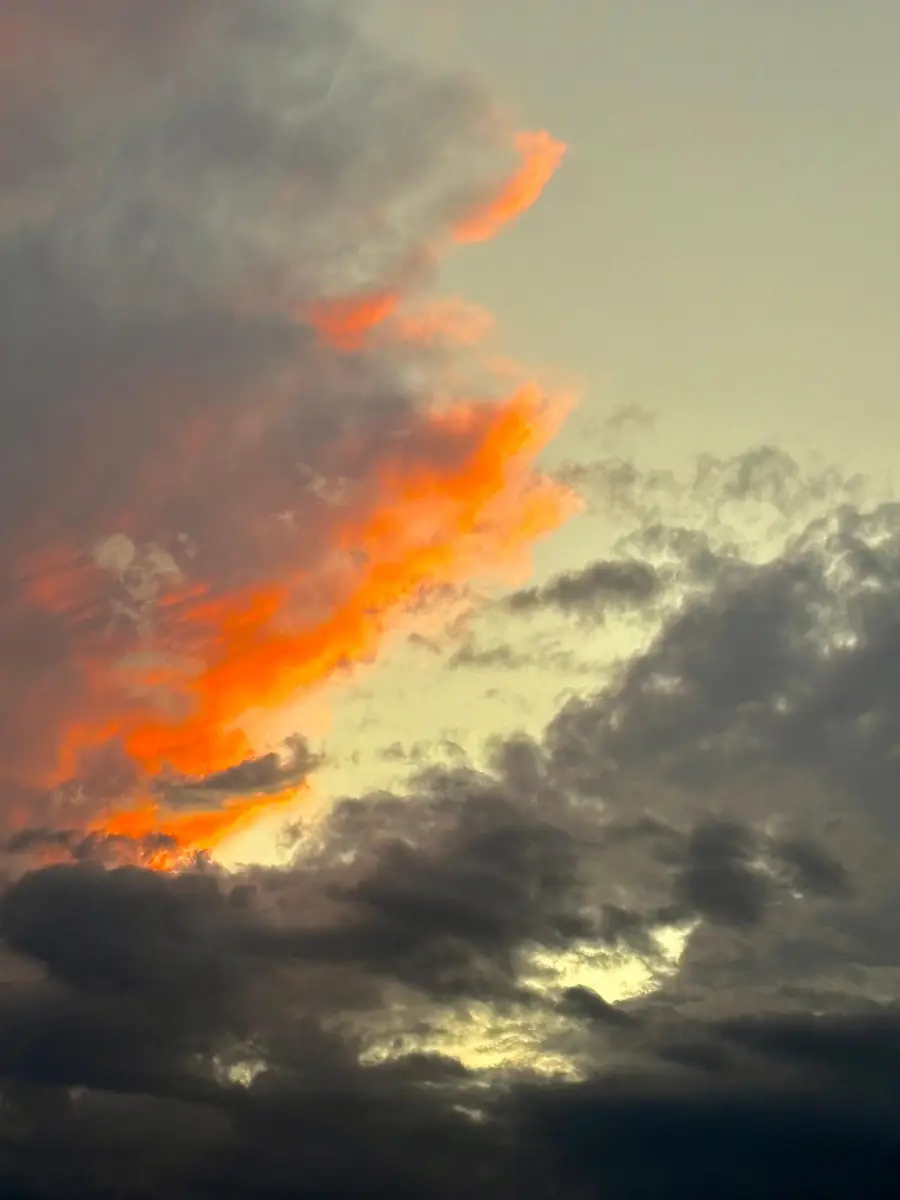 185 Brittany D, Delray Beach, FL 33446 - #2