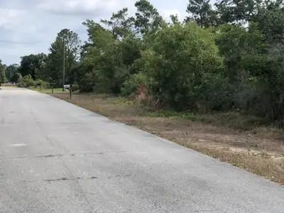 1731 Charleston Street, Lake Placid, FL 33852 - #3