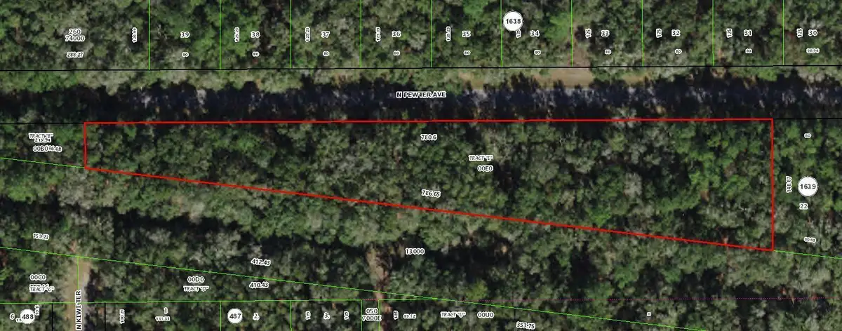 182 E Kingsdale Street, Citrus Springs, FL 34434 - #1