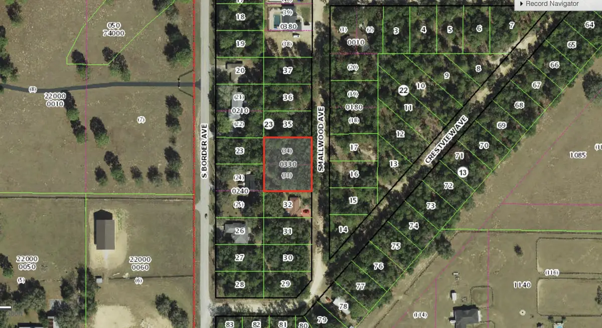 314 Smallwood Avenue, Inverness, FL 34452 - #1