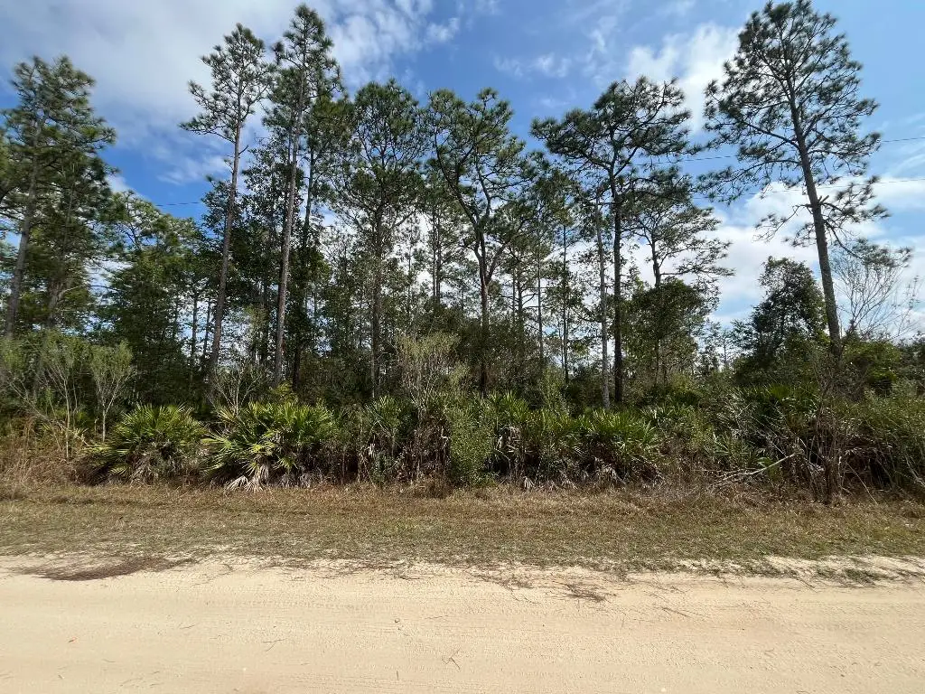 206 Royal Avenue, Interlachen, FL 32148 - #1