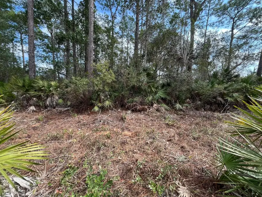 206 Royal Avenue, Interlachen, FL 32148 - #3