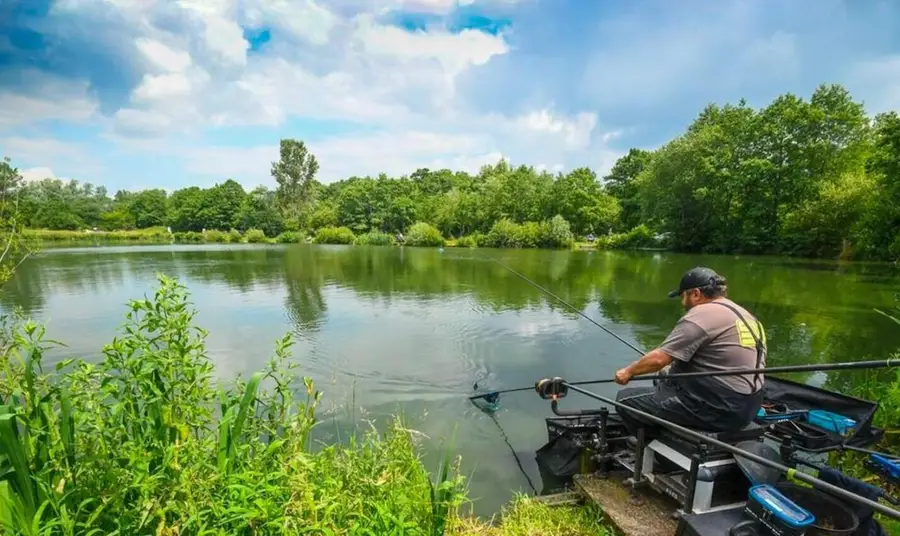 226 Maine Terrace, Hawthorne, FL 32640 - #2