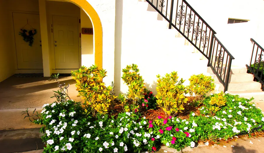 2900 Olivewood Terrace #203, Boca Raton, FL 33431 - #3