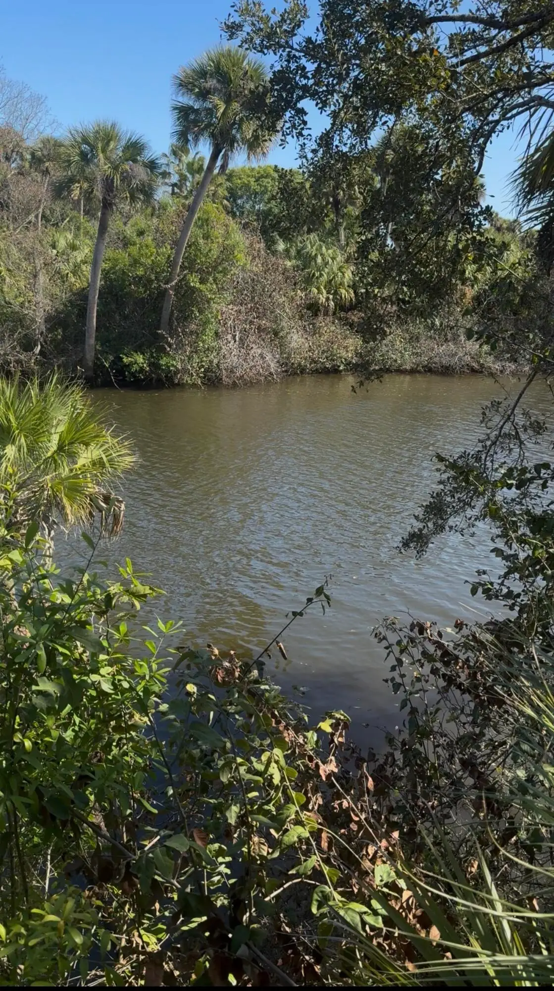 104 NE Charleston Oaks Drive, Port Saint Lucie, FL 34983 - #1