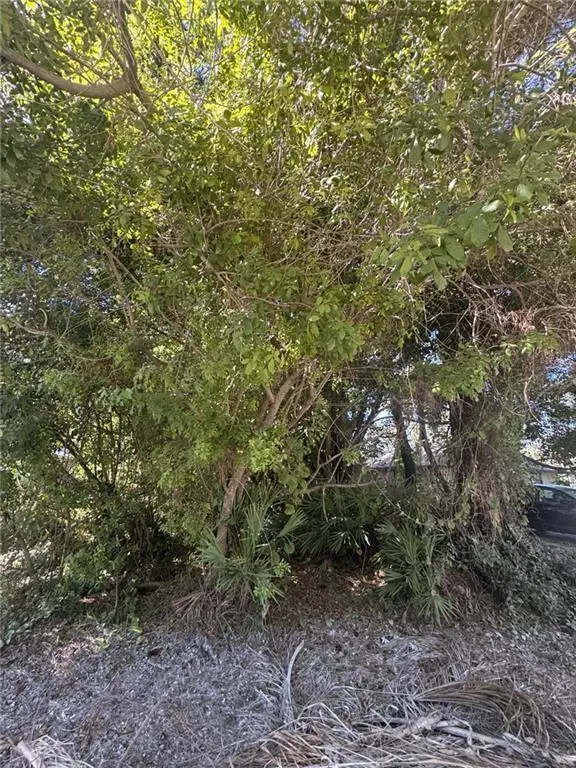 1115 15th Avenue Sw, Vero Beach, FL 32962