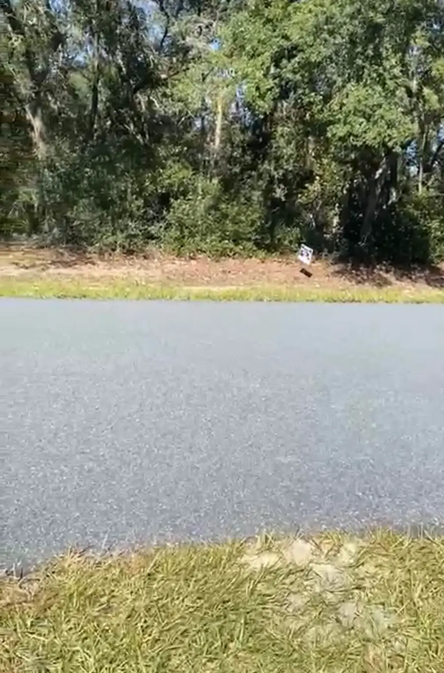 4017 SW 133rd Loop, Ocala, FL 34473 - #2